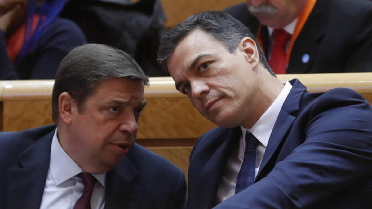 el ministro de Agricultura, Luis Planas, y Pedro Sánchez