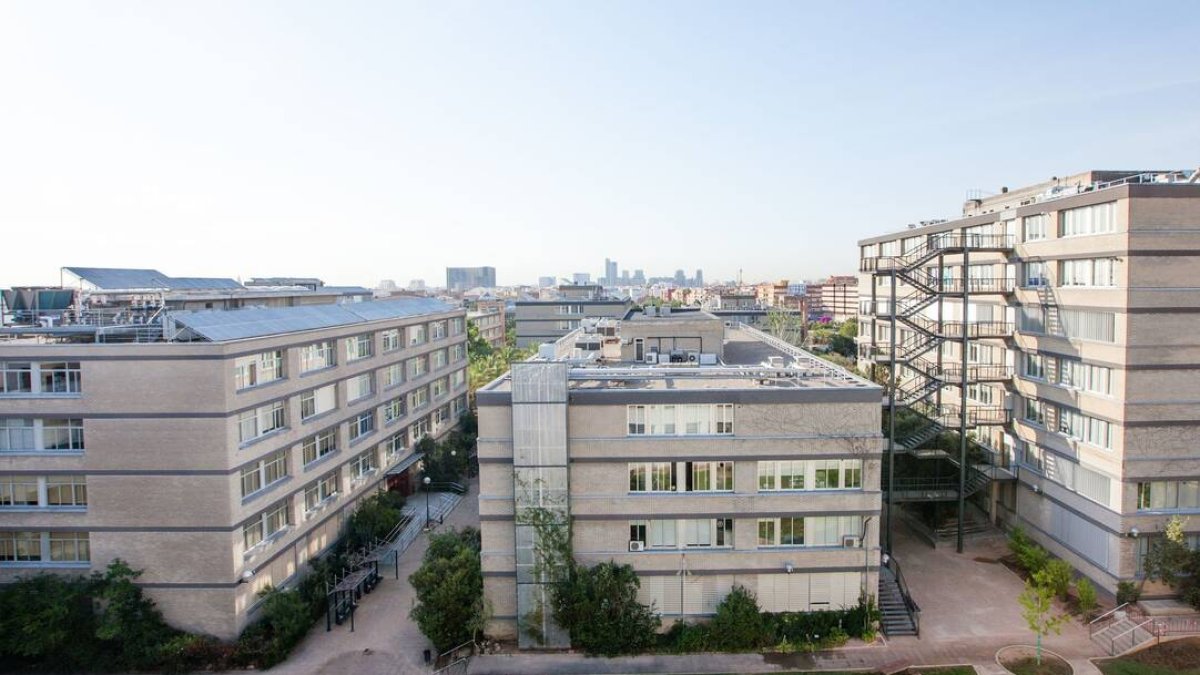 El Consell aprova un conveni amb la Universitat per al foment de l’habitatge