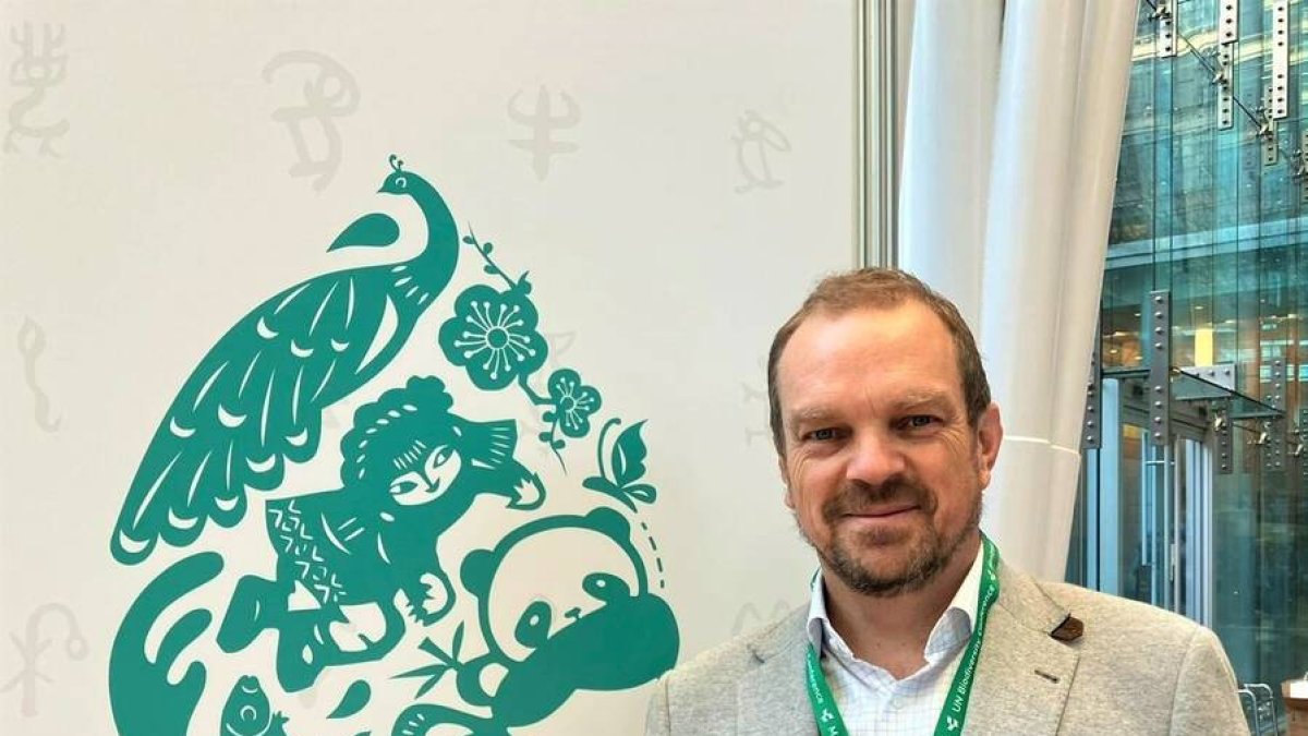 Emilio Tejedor, director de Medio Ambiente de Iberdrola.