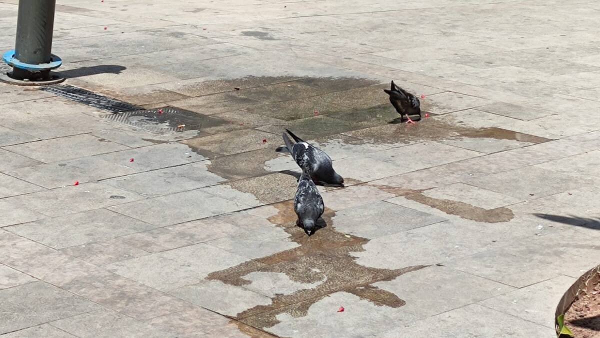 Sencillos gestos que salvan vidas.