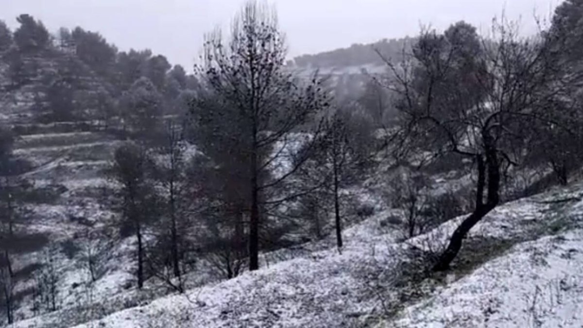 sierra de Catamarruch (Planes) / @Climatología UA.