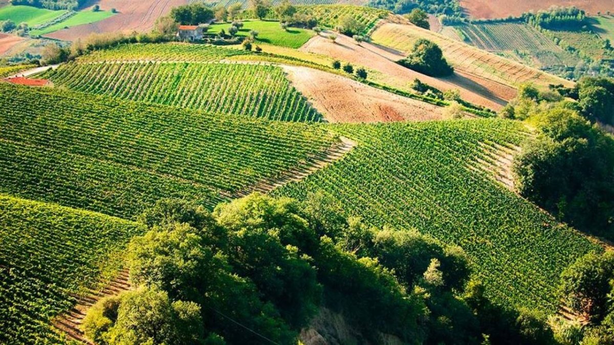La importancia de hablar de vino