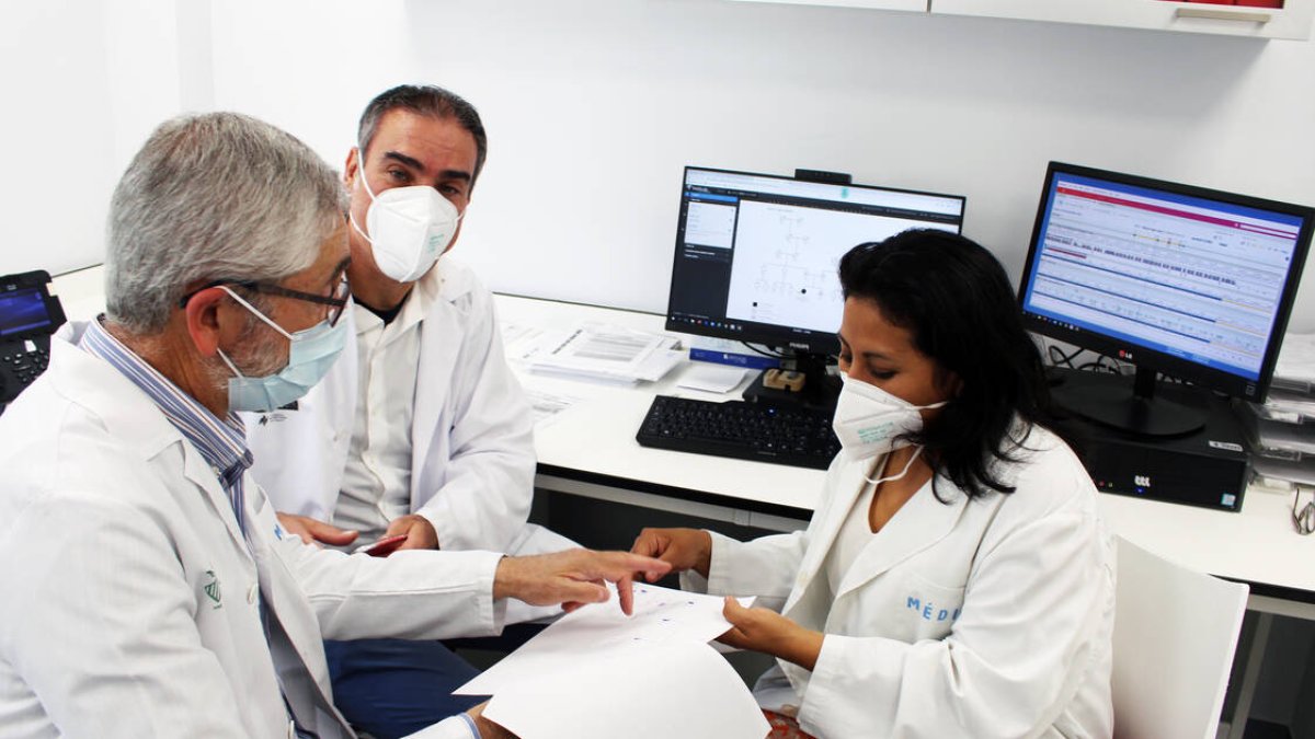 Consulta genetica