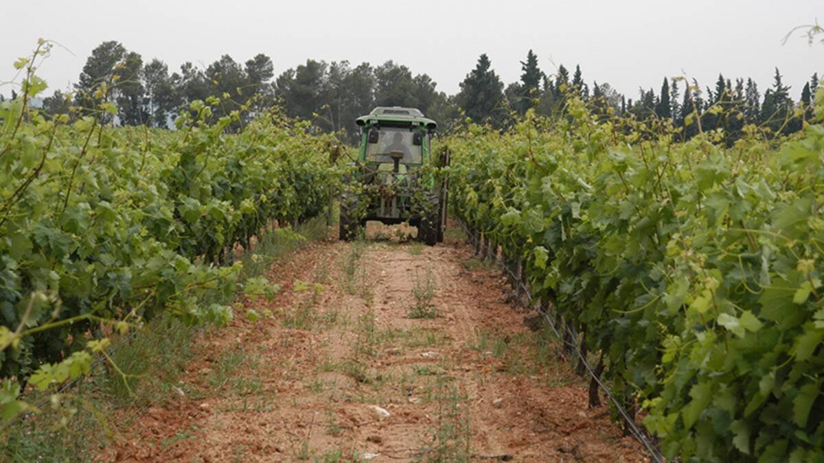 Imagen archivo de un tractor realizando trabajos en el campo - AVA-ASAJA