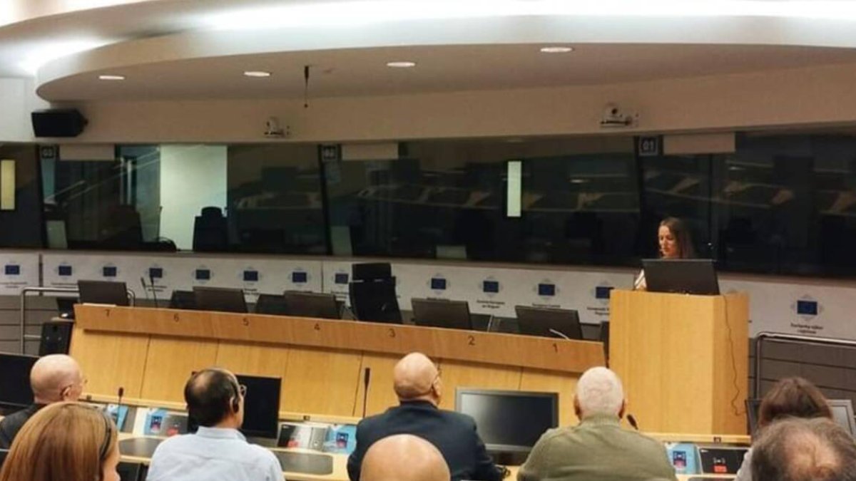 Oliva aconsegueix 2,5 milions d'euros per a desenvolupar la passarel·la dunar