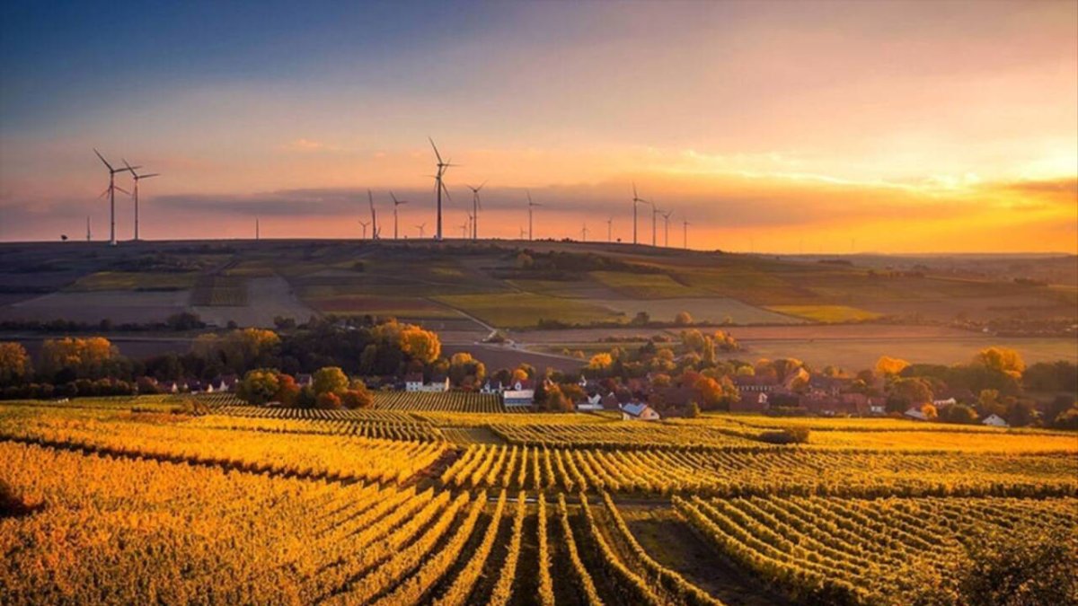 Imagen de una zona de cultivo y energía eólica en Andalucía.