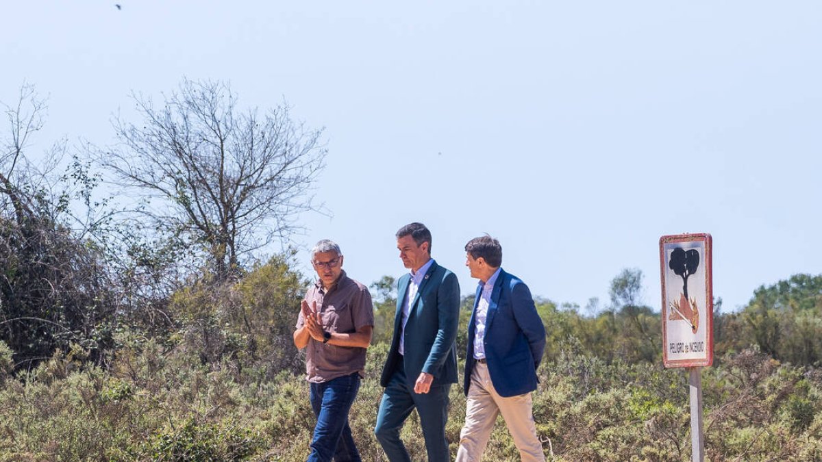 Pedro Sánchez con el delegado del Gobierno en Andalucía, Pedro Fernández  y el director de la Estación Biológica de Doñana, Eloy Revilla, en  Doñana (Huelva),