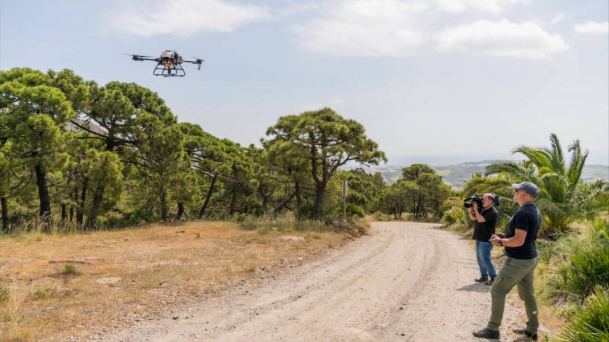 El proyecto 'Casco Verdes' sobrevuela con drones Sierra Bermeja en Malaga lanzando semillas.
