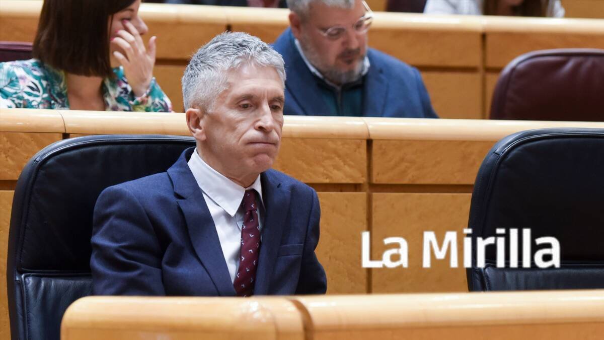 El ministro del Interior, Fernando Grande-Marlaska, durante una sesión de control al Gobierno en el Senado.
