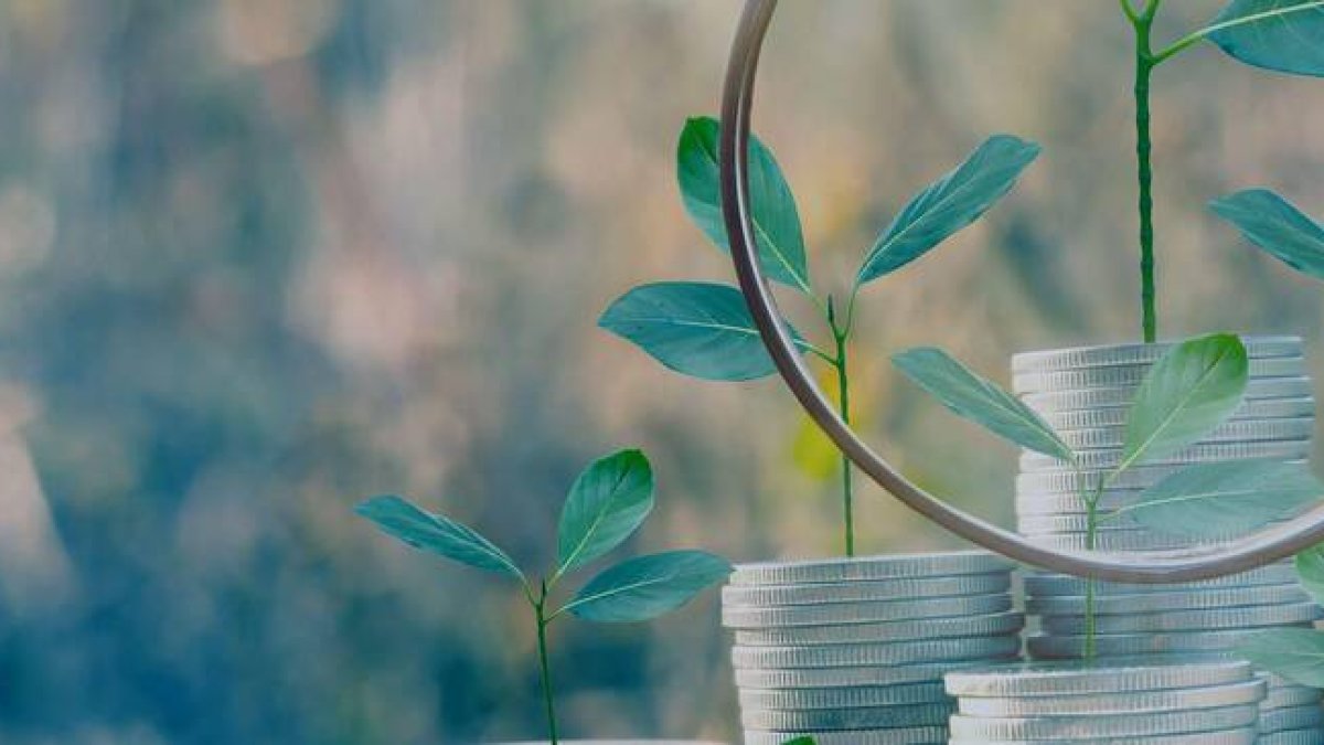 8 de cada 10 empresas analiza y calcula su huella de carbono