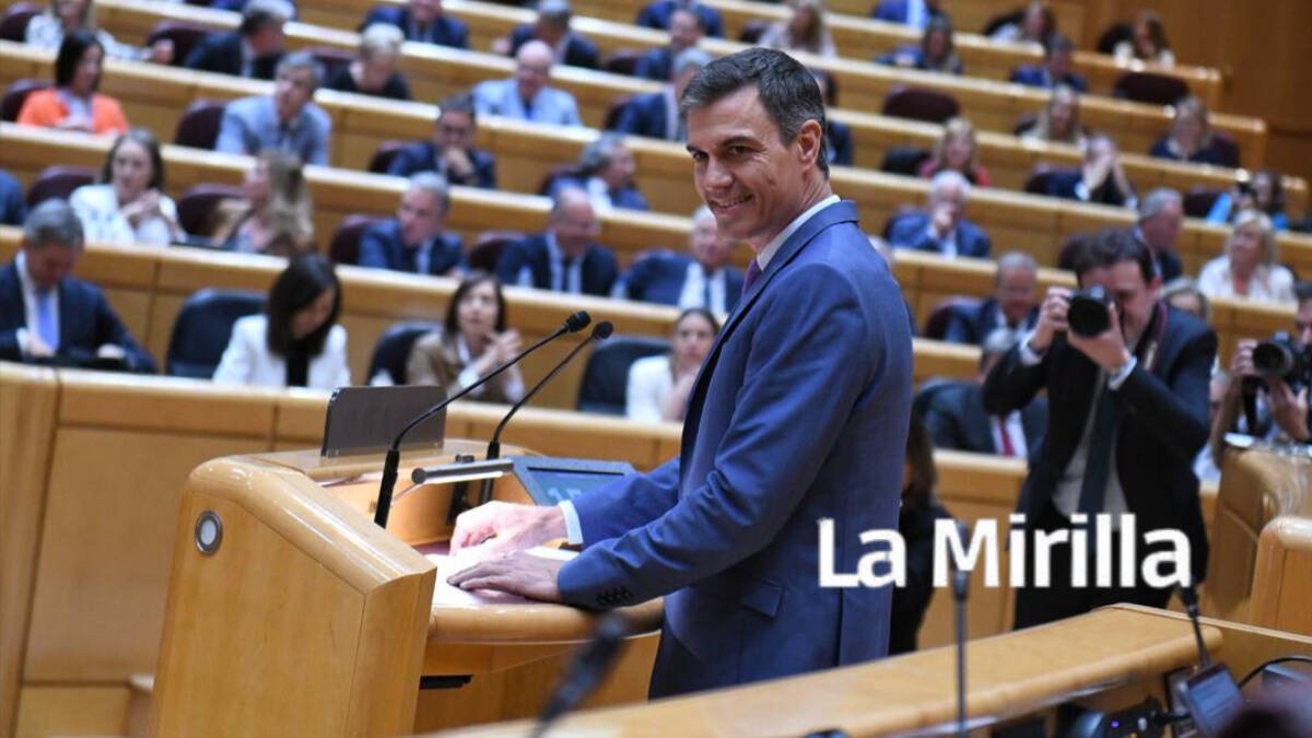 El presidente del Gobierno, Pedro Sánchez, interviene durante un pleno del Senado.
