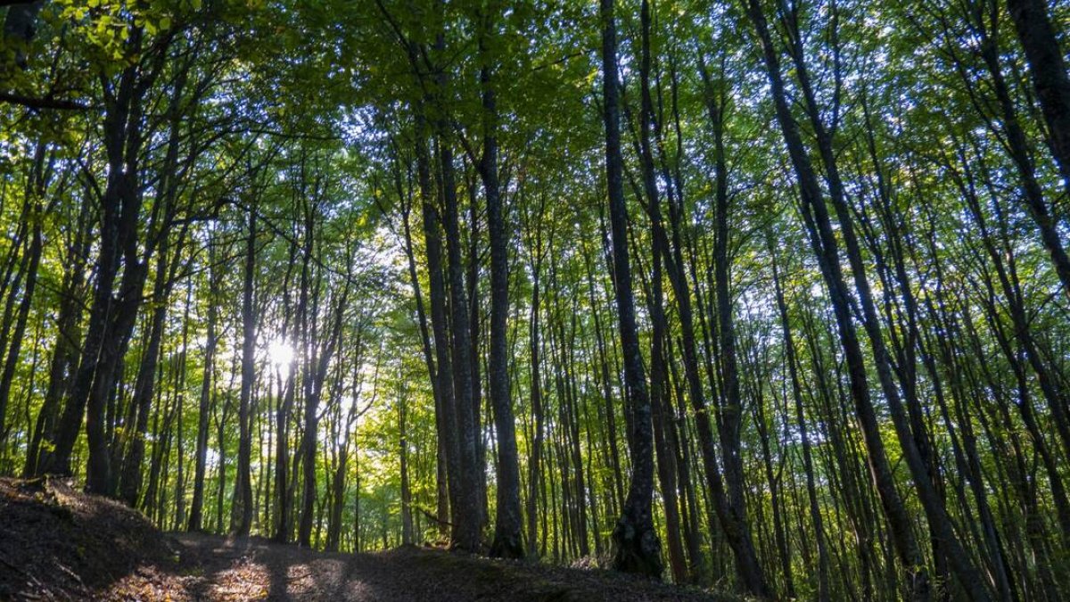 Aprobada la Estrategia de Biodiversidad y Ciencia 2023-2027