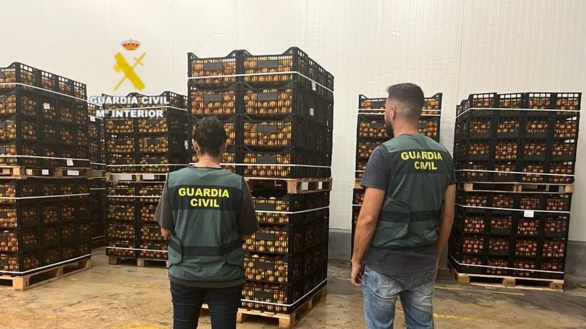 Dos detenidos por robar en un almacén 25 toneladas de naranjas