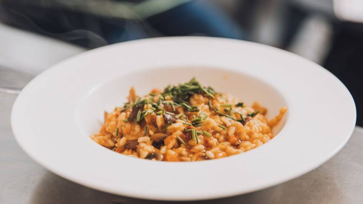 Degustación de los arroces del concurso