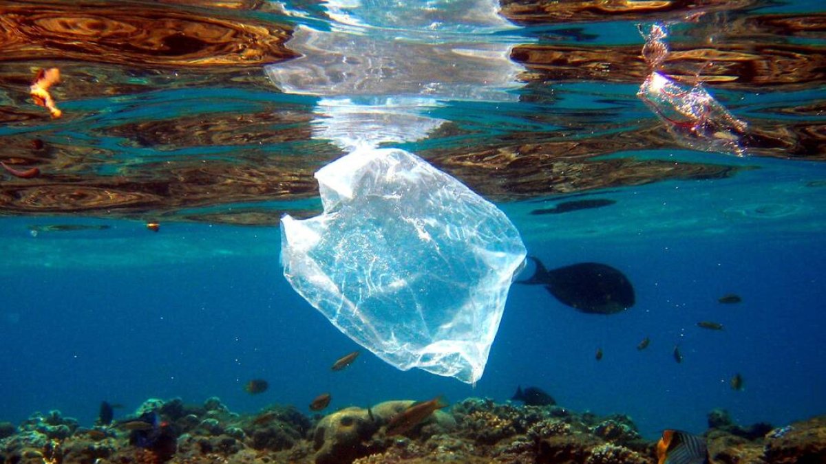 8 de cada 10 españoles apoya un tratado contra la contaminación por plásticos