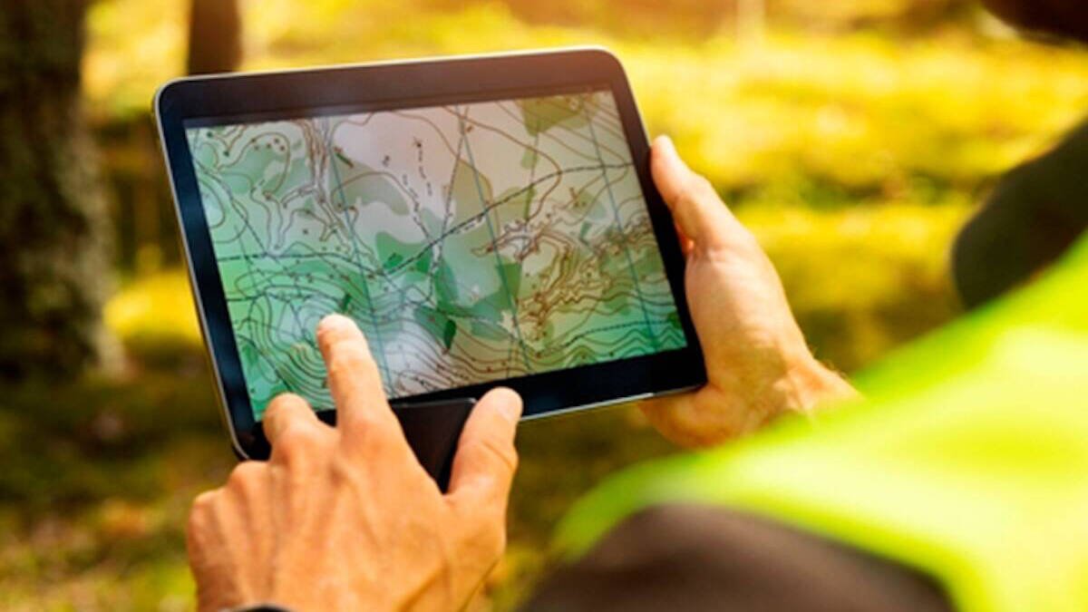 Iberdrola lanza Carbon2Nature para reducir la huella de carbono global.