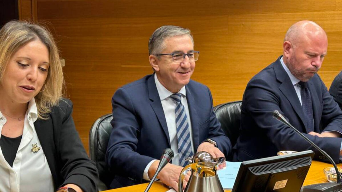 Comisión de presupuestos de Las Cortes Valencianas.