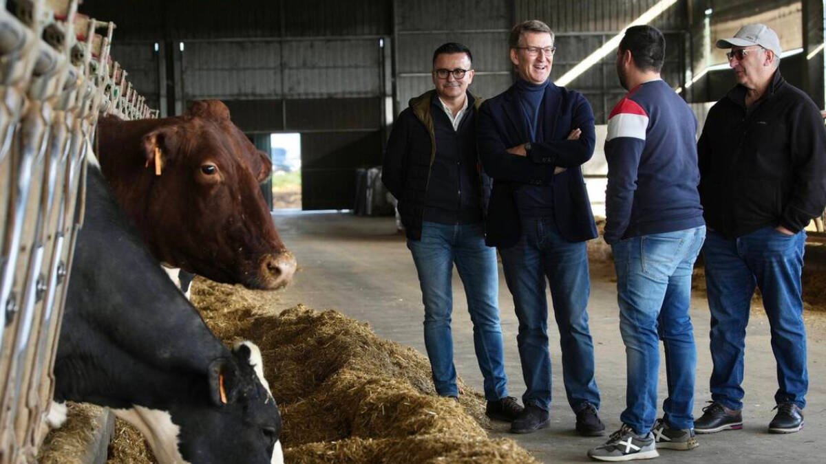Feijóo de campaña en Galicia con ganaderos