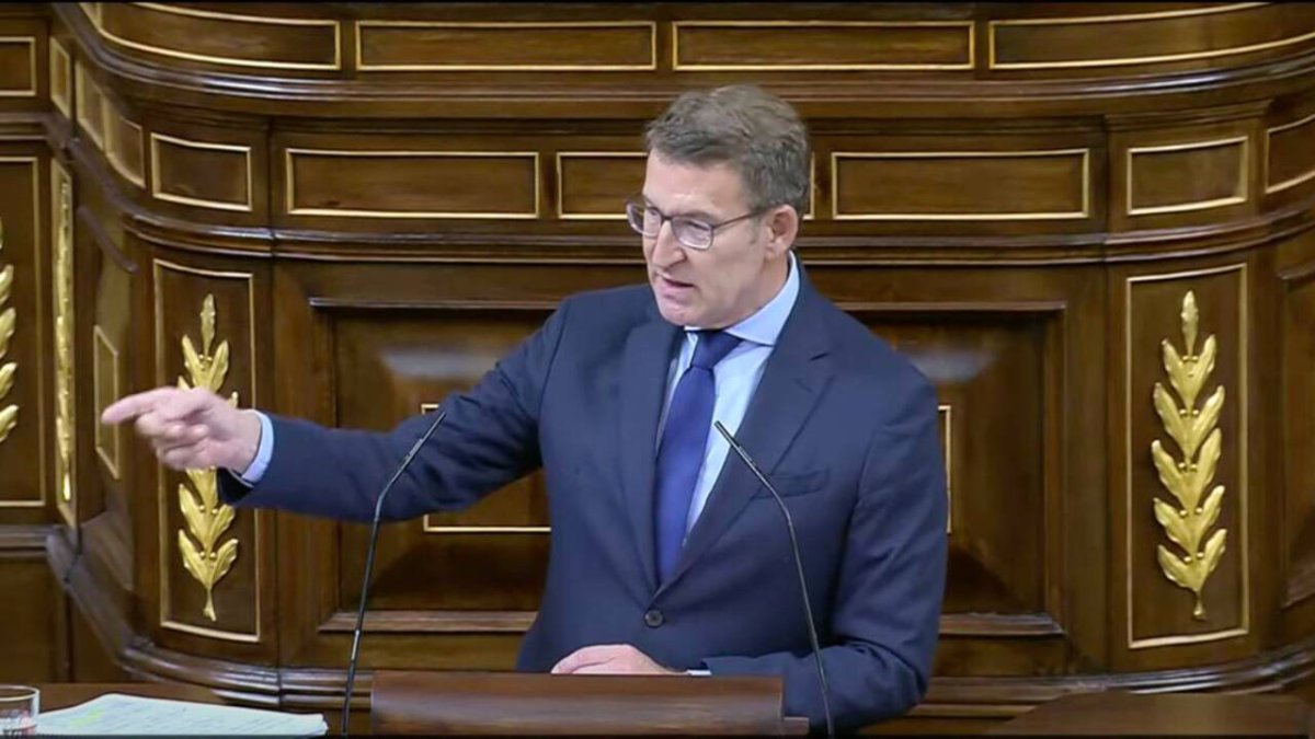 Alberto Núñez Feijóo, líder del PP, en el Congreso