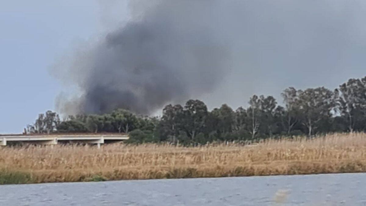 Incendio en El Saler.