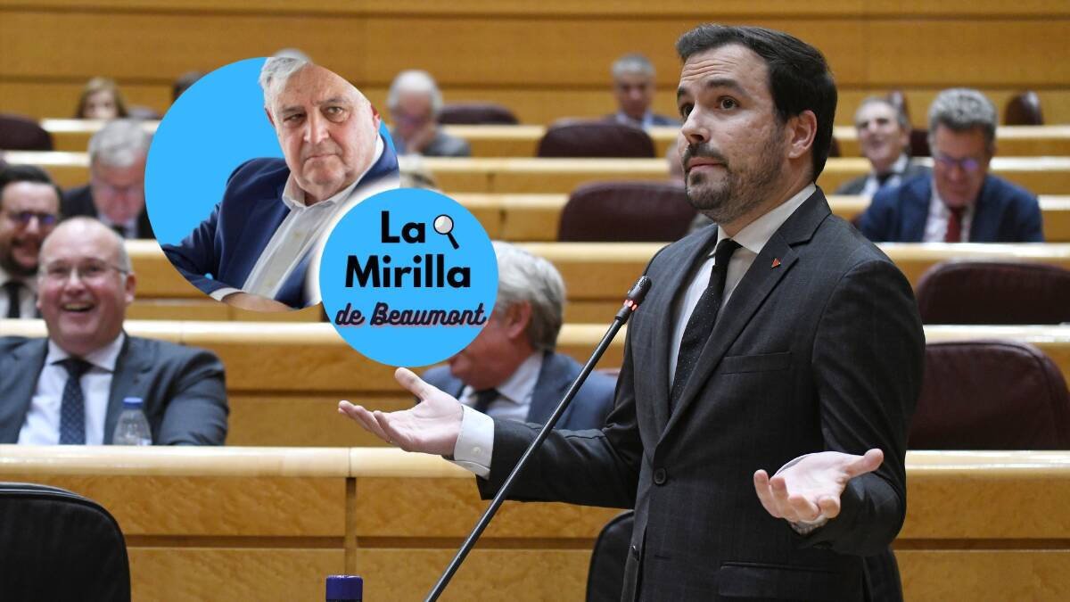 El ex ministro de Consumo, Alberto Garzón, durante una intervención en el Senado.