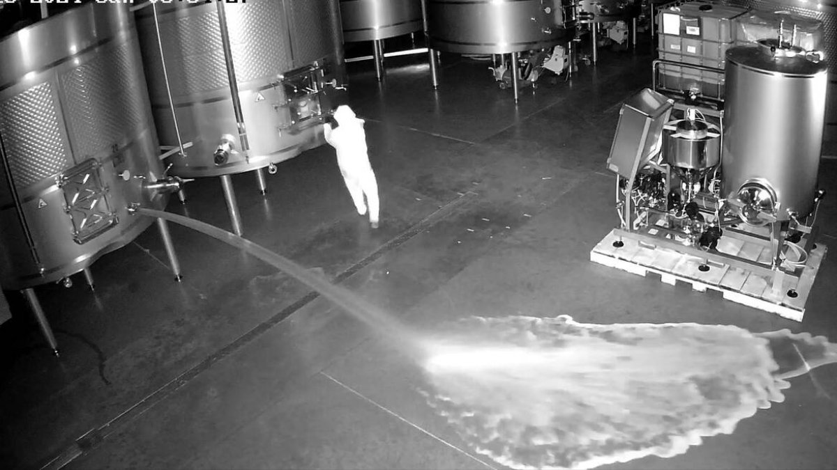 Vacían 60.000 litros de vino valorados en 2,5 millones de euros en Cepa 21