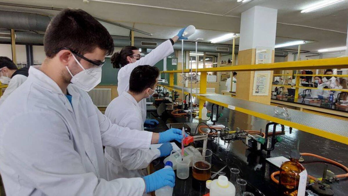 Imatges d'arxiu d'estudiants de Gastronomia en la UA (realitzades per Ángeles Ruiz)