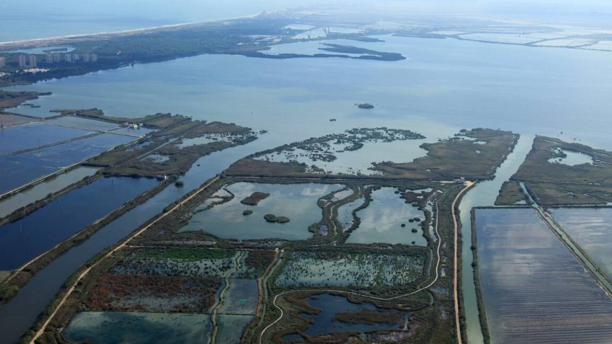 Albufera de Valencia