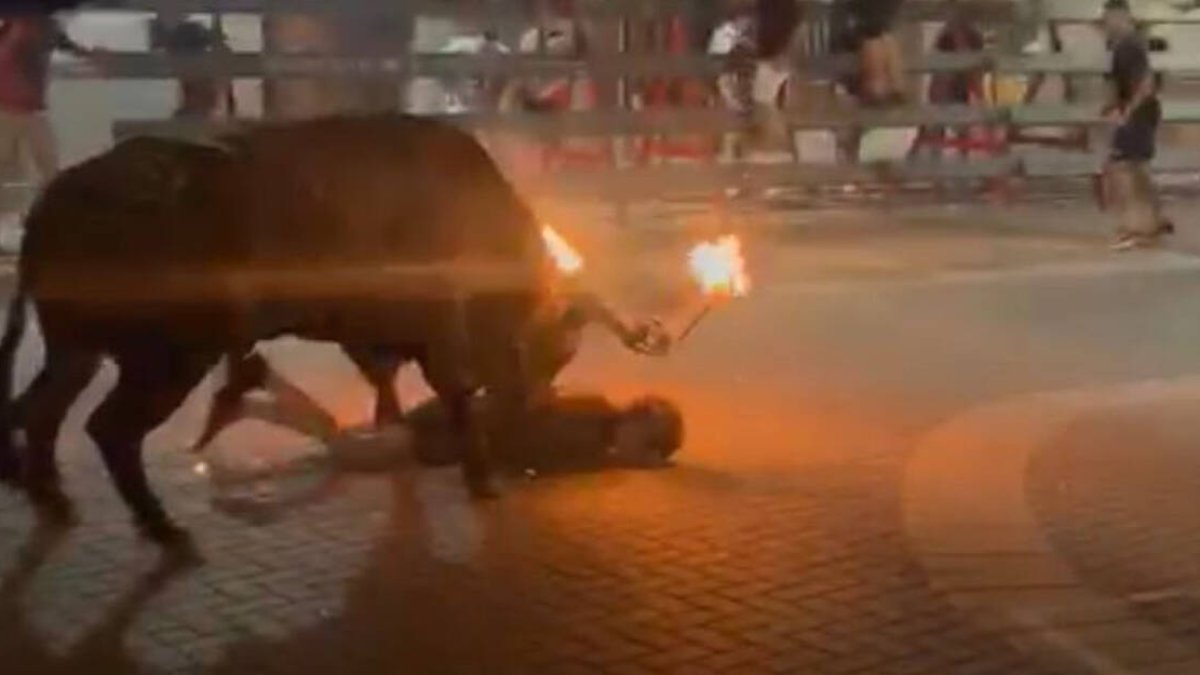 Toro embolado pilla a un joven en Alcàsser