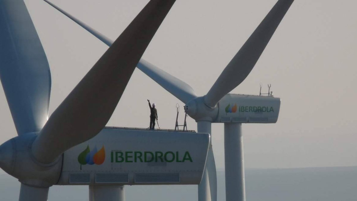 Parque eólico terrestre de Iberdrola.
