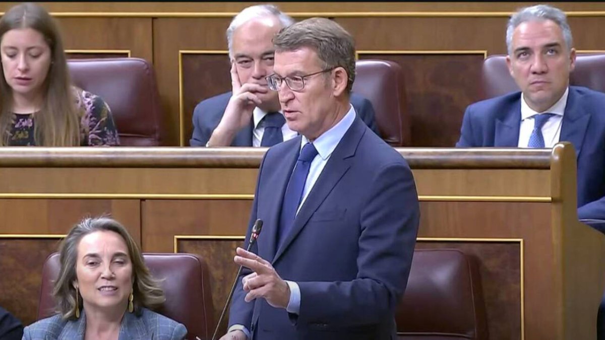 Alberto Núñez Feijóo en el Congreso