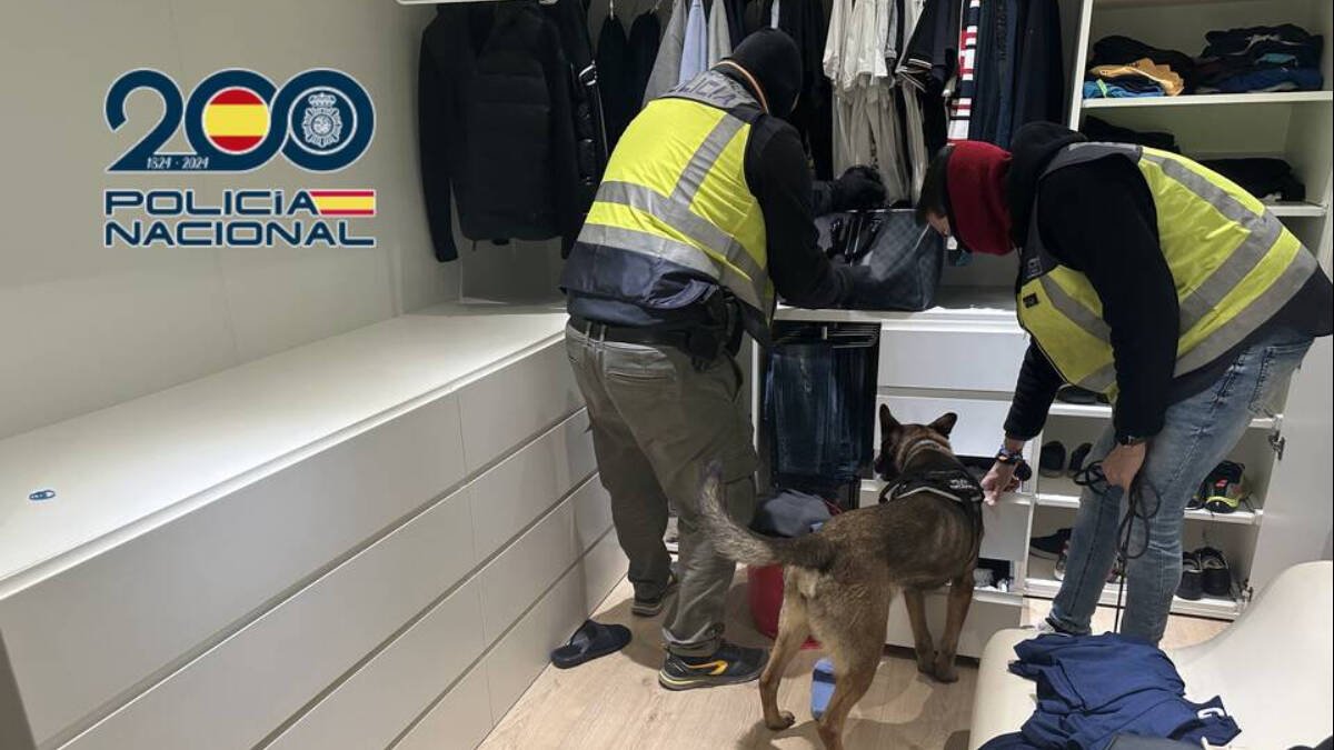 La Policía Nacional en labores de registro