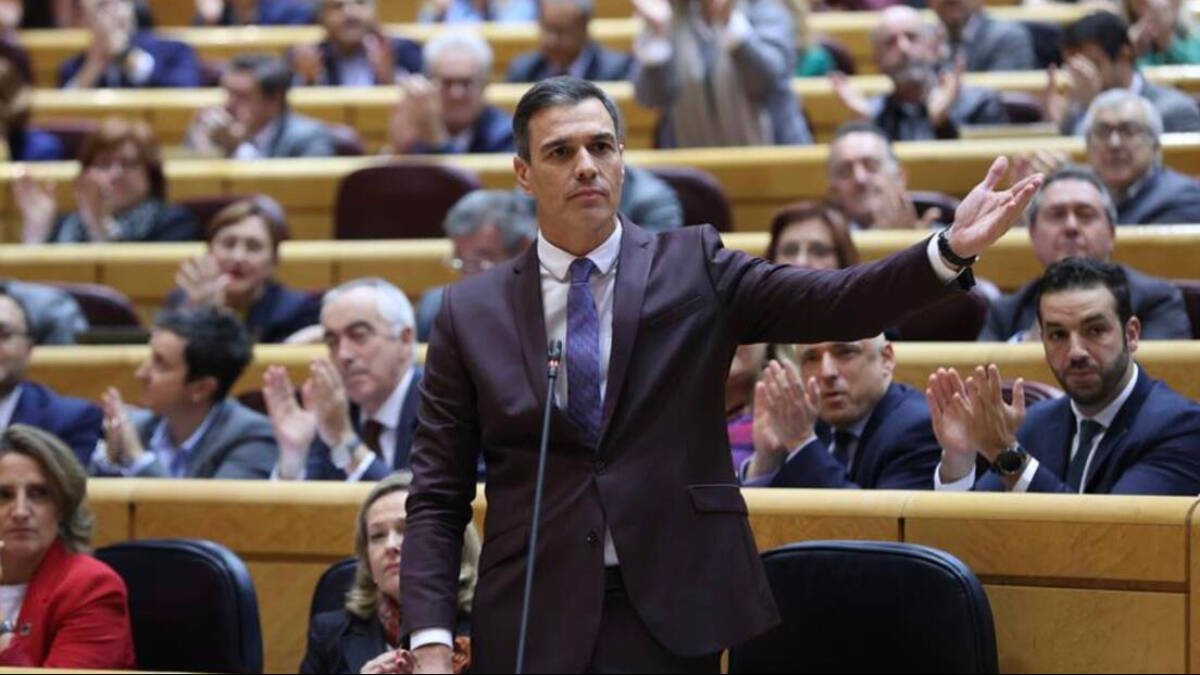 Sánchez en un pleno del Senado