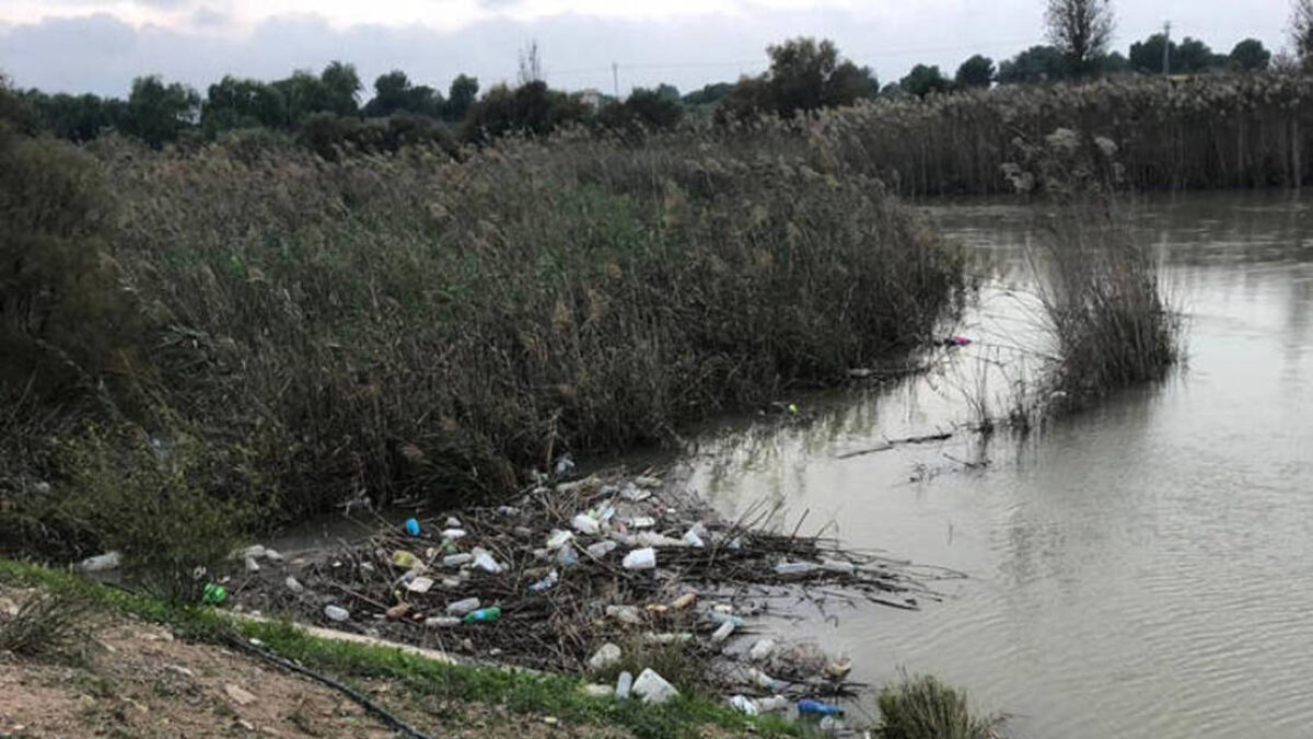 San Fulgencio, Crevillent, Catral y Orihuela mejorará su regadío