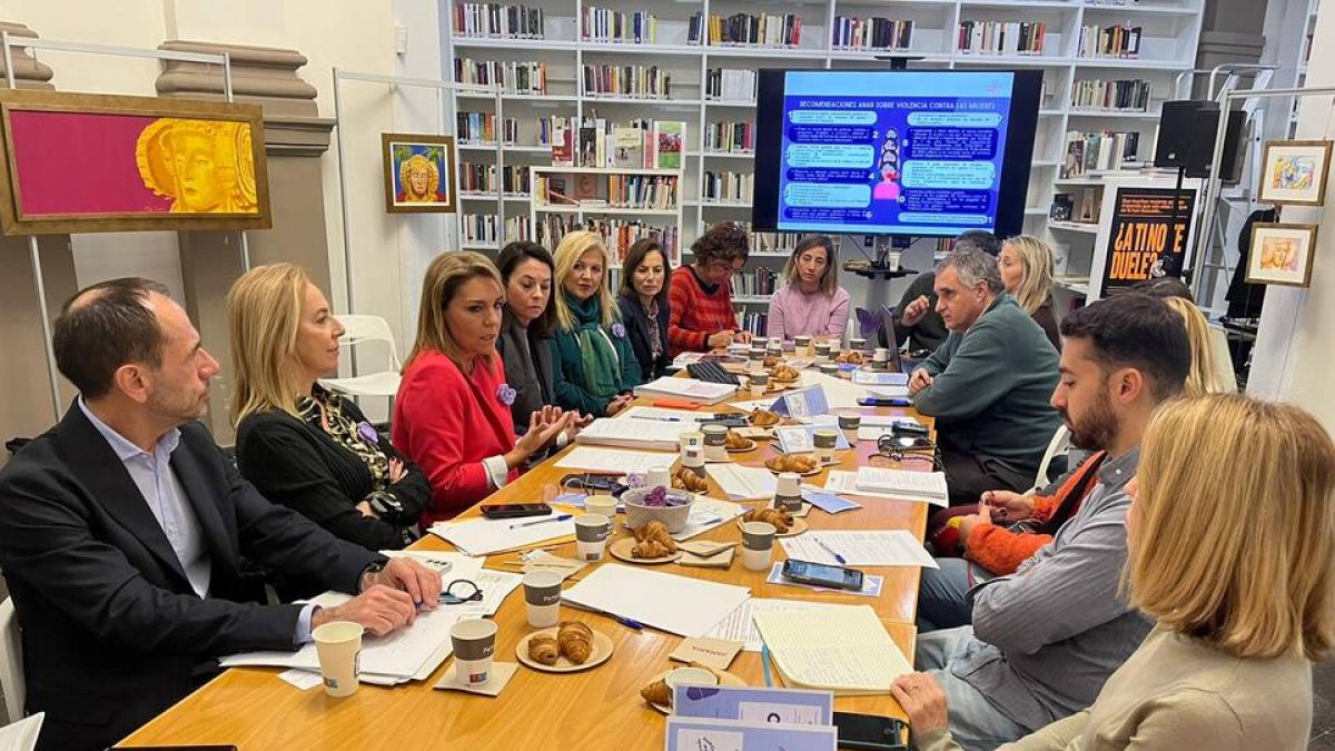 Susana Camarero, vicepresidenta segona i consellera de Serveis Socials, Igualtat i Habitatge, reunida amb la Fundació ANAR