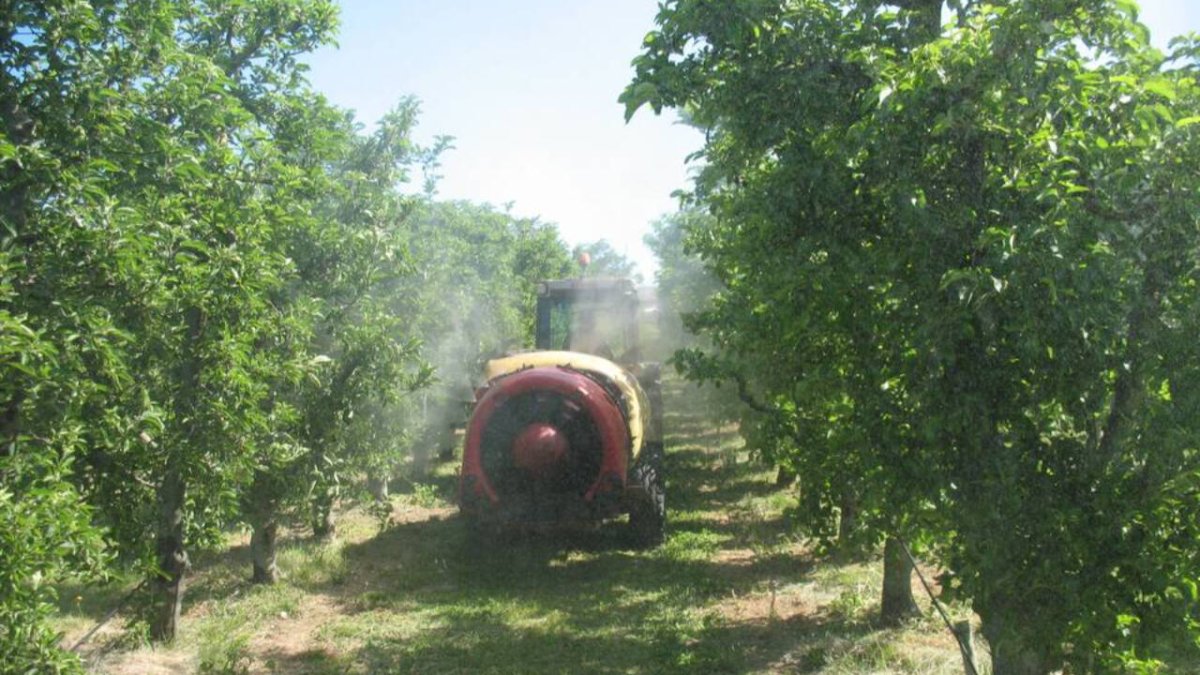 Un tractor aplica productos fitosanitarios en en una plantación