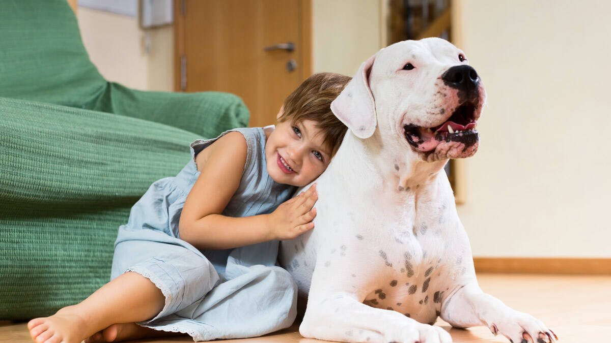 Niño con perro