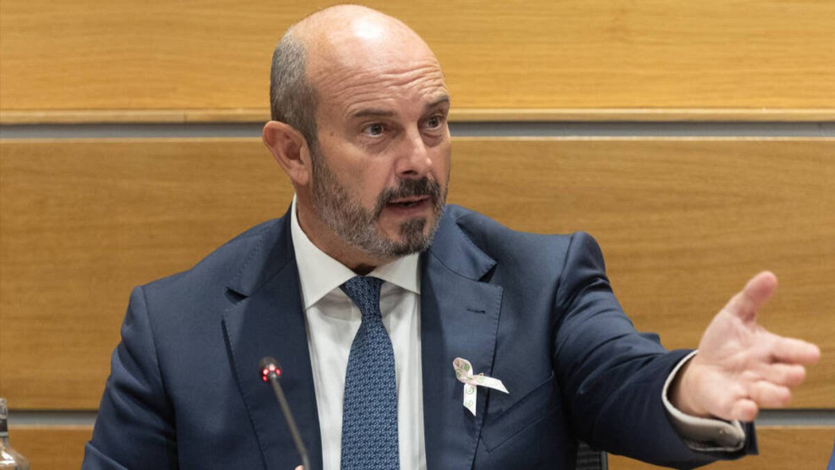 Pedro Rollán, presidente del Senado.