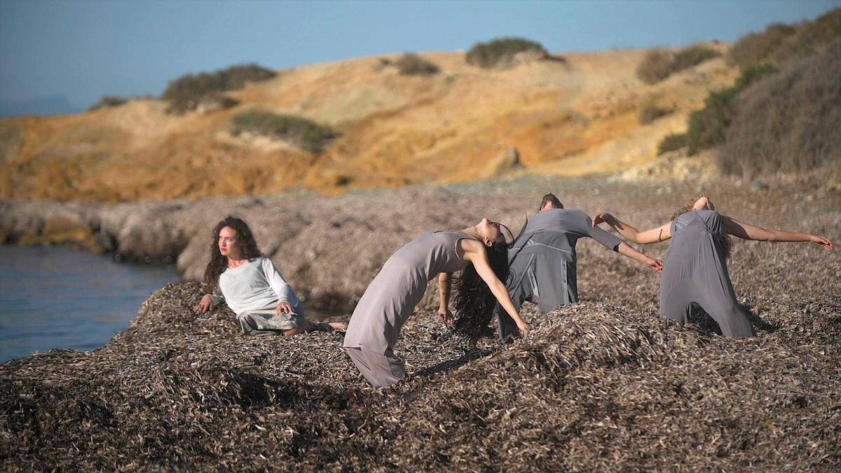 Las Residencias Petricor