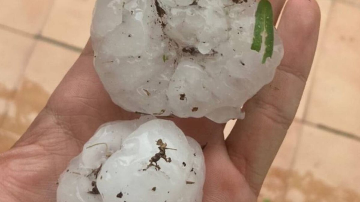Bolas de granizo que ayer por la tarde cayeron sobre diferentes localidades de la provincia de Valencia.