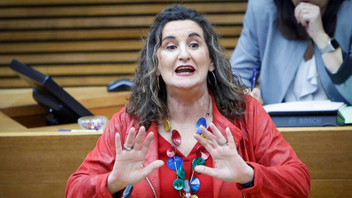 La diputada autonómica del PSPV, Mercedes Caballero.