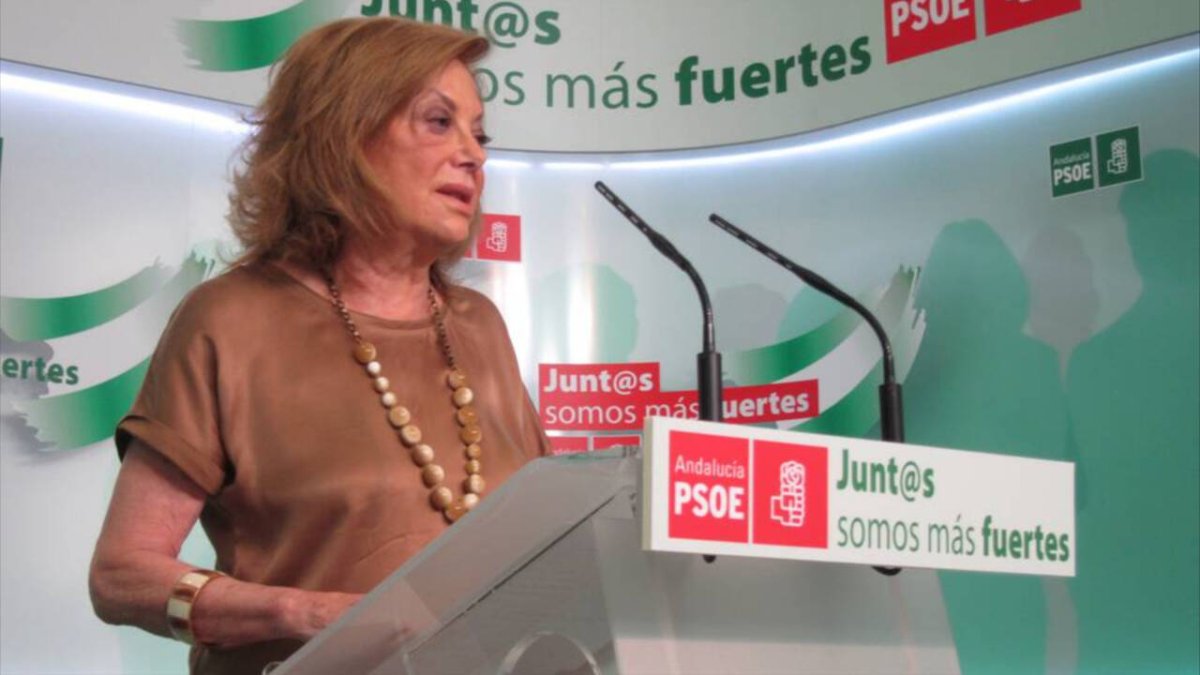 La expresidenta del PSOE de Sevilla, Amparo Rubiales.