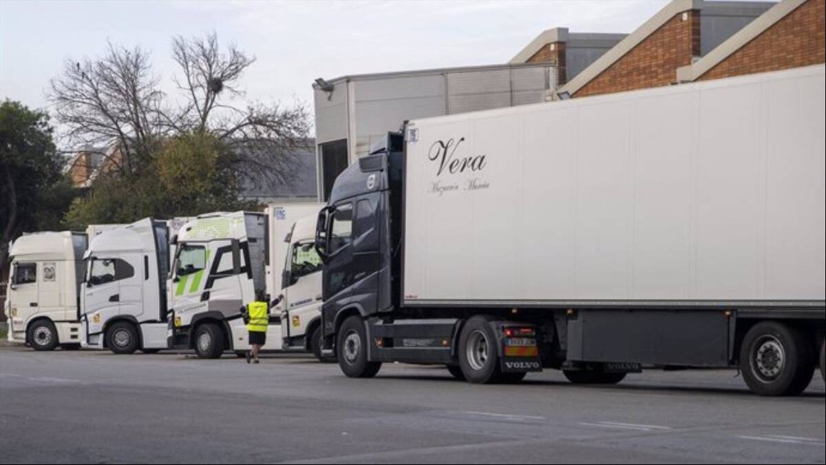 Varios camiones estacionados. (Foto de archivo)