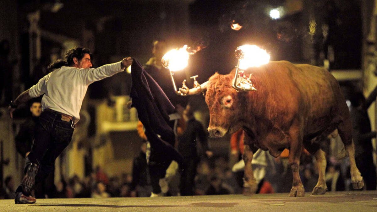 Toro embolado