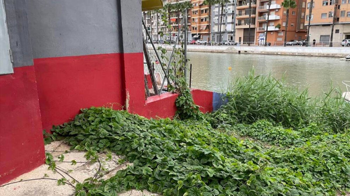 Falta de mantenimiento del Club de Piragüismo