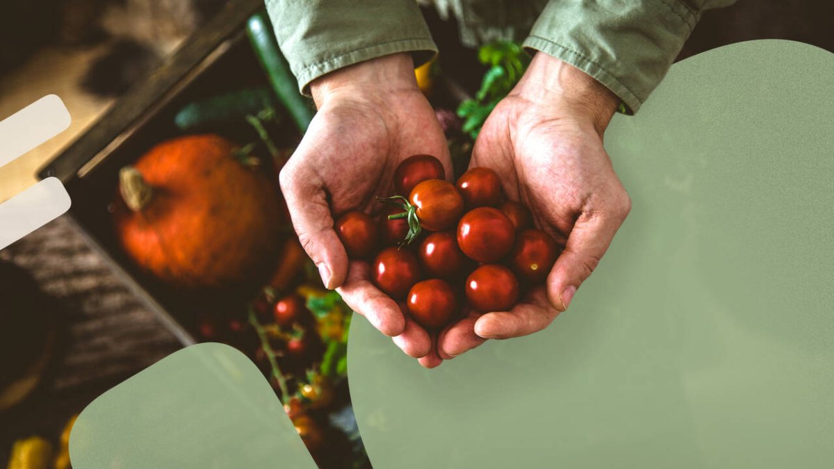 Alimentación Sostenible