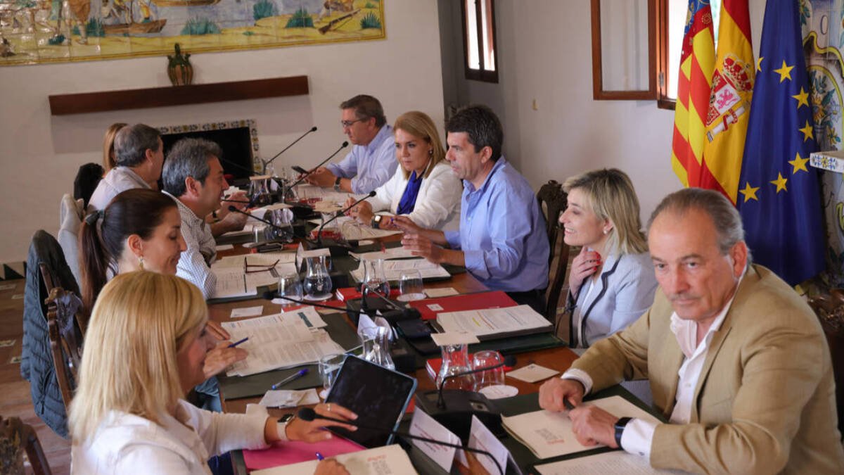 Pleno del Consell