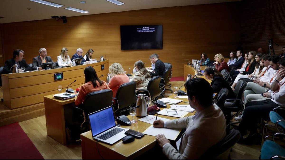 Comisión en Les Corts.