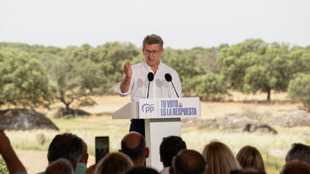 Alberto Núñez Feijóo, líder del PP