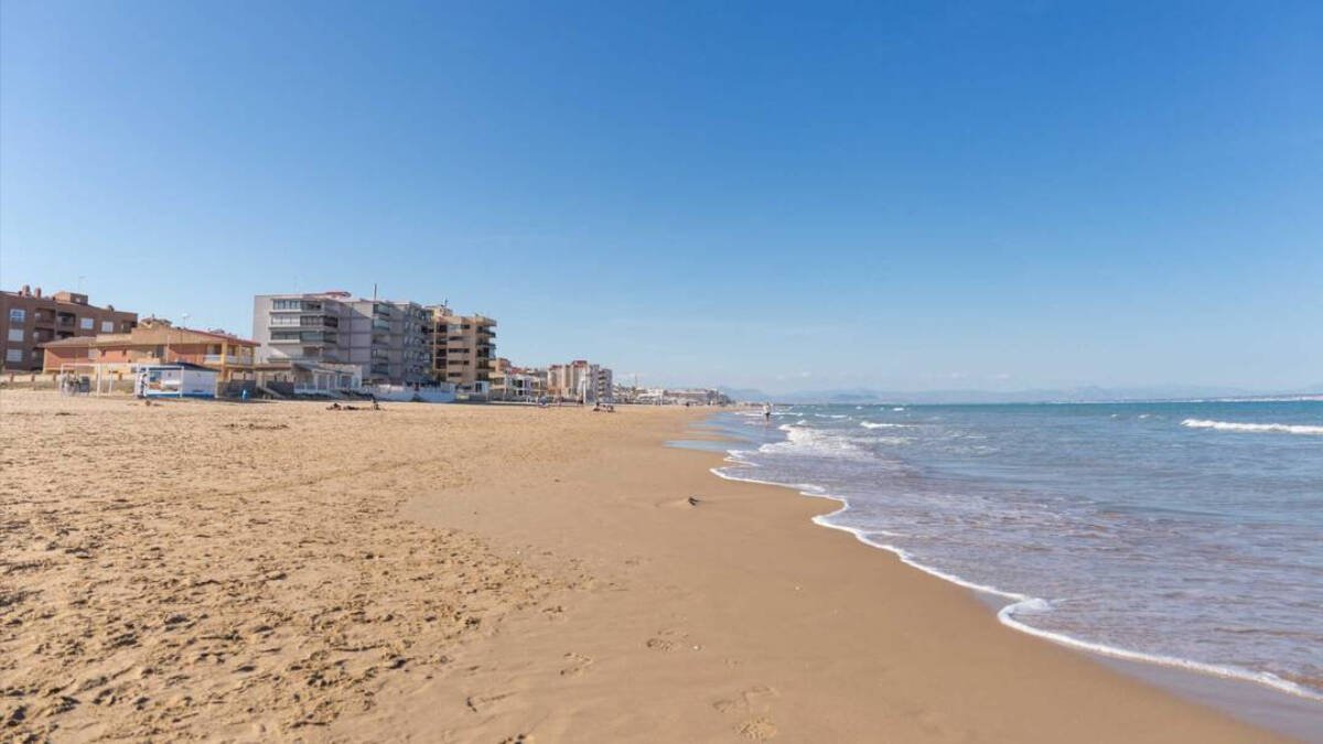 Reabierto al baño las playas de Guardamar del Segura tras detectar ejemplares de dragón azul